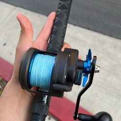 Daiwa Saltist 35H 