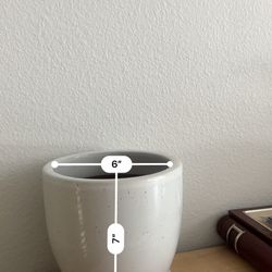 Small Plant Pot