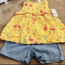 5t Shorts Set - Pickup From Northridge Area
