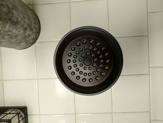 Moen Shower Head