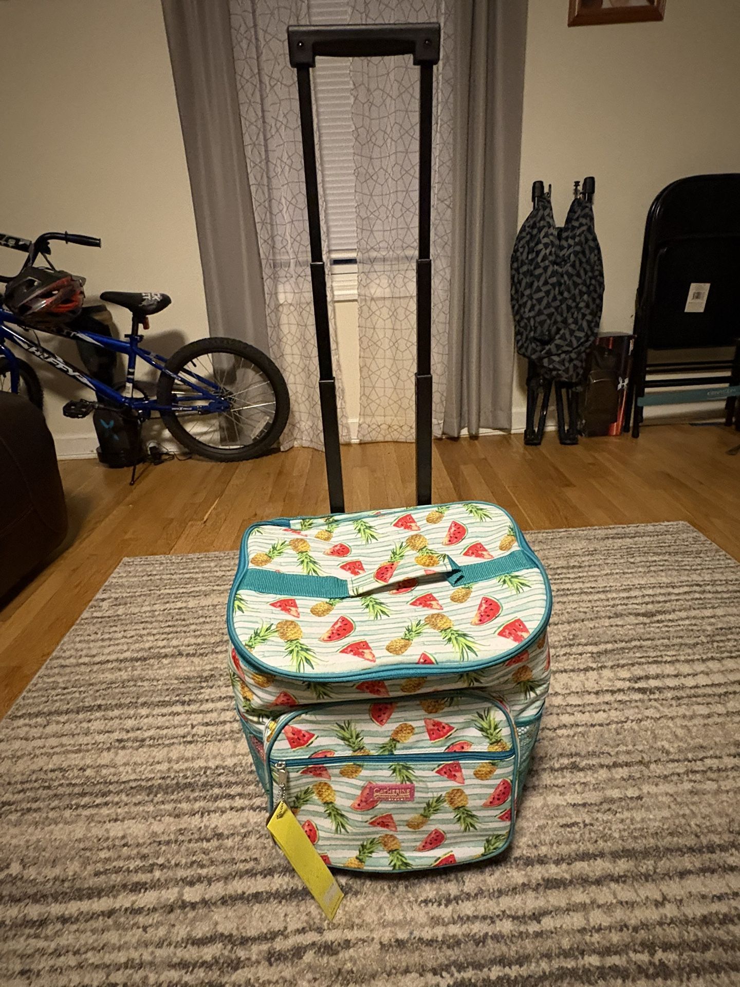 Rolling cooler and picnic blanket