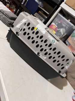 Kennel