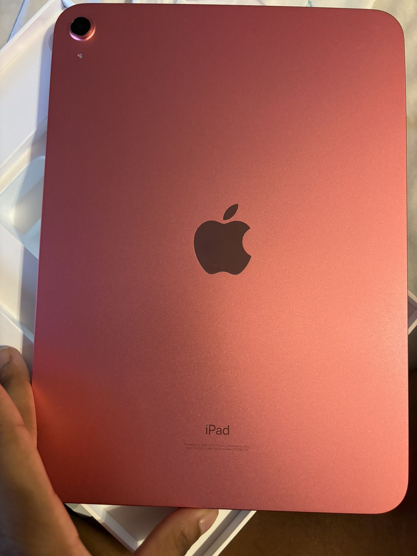 iPad 10th Generation 