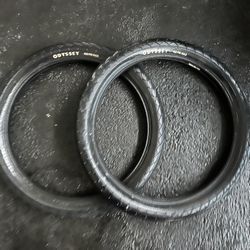 PROWLER BMX Tires (20x2.4) Used Semi New