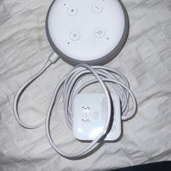 Echo /Amazon 