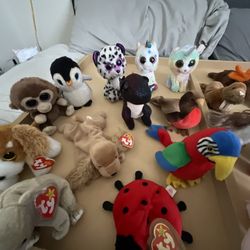 Beenie Baby Collection Lot of 25
