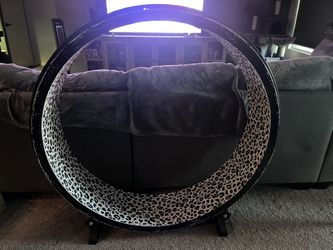 Cat Wheel