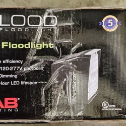 RAB Lighting LED Floodlight 