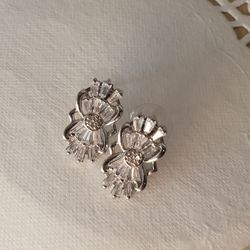 Earrings (fasion jewelery)