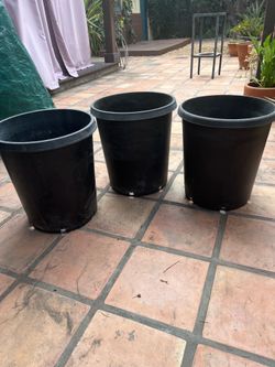 Three 15 gallon plastic nursery pots