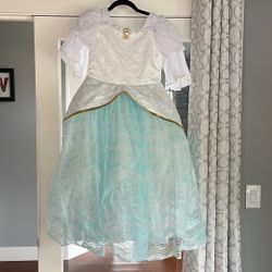 Disney Princess Dress
