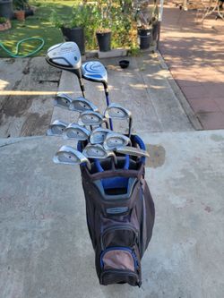 Titleist & Ping Golf Club Set Right Handed W/Datrek Cart Bag