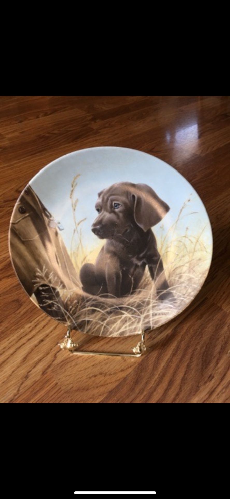 Weimaraner Dog Collector’s Plate, limited edition 