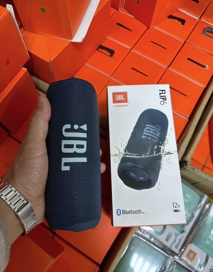 JBL Flip 6