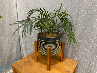 Artificial Potted Palm Plant in Glossy Striped Planter with Wooden Platform
