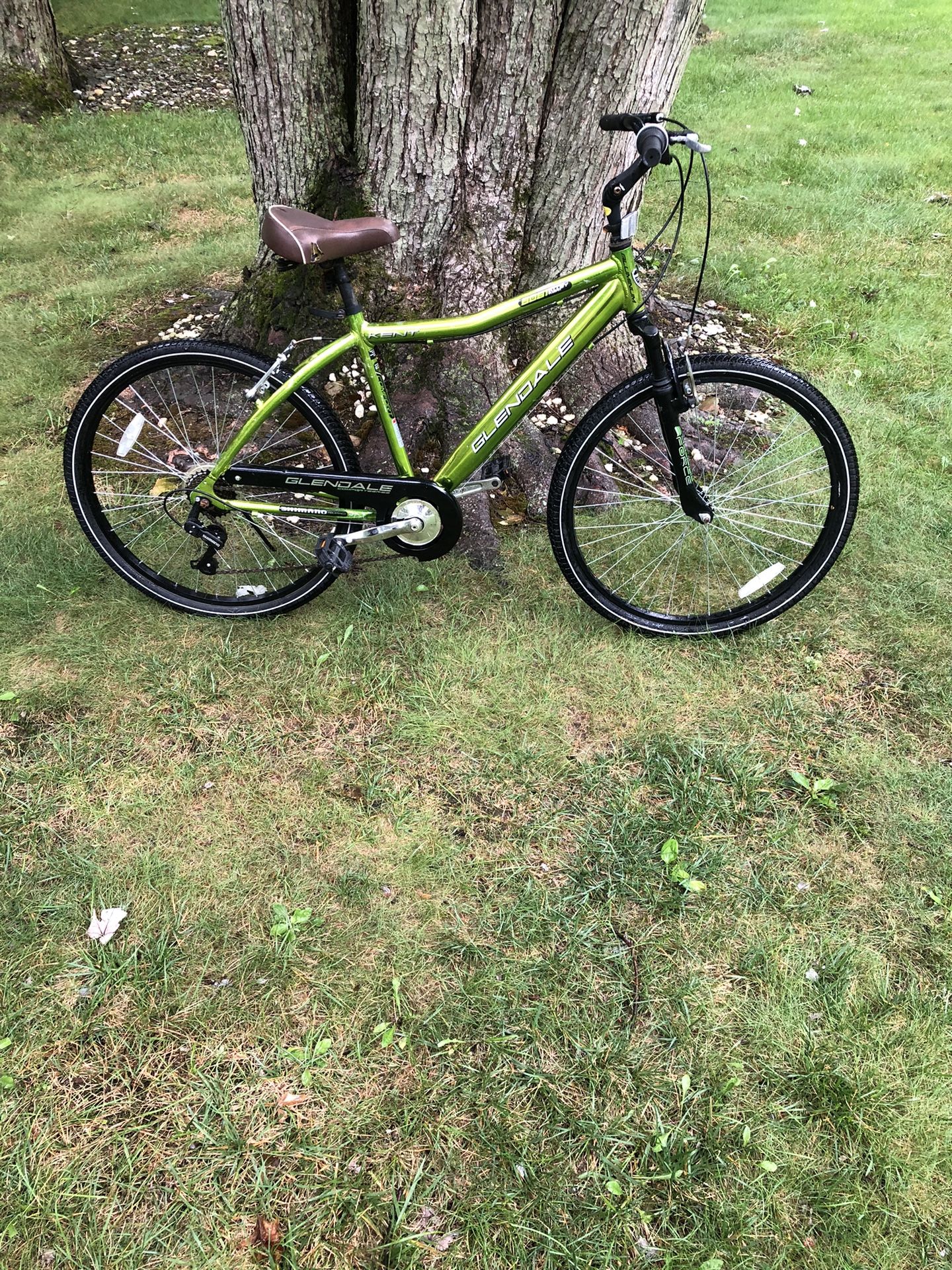 26” Cruiser Bike (7 Speed/aluminum Frame)