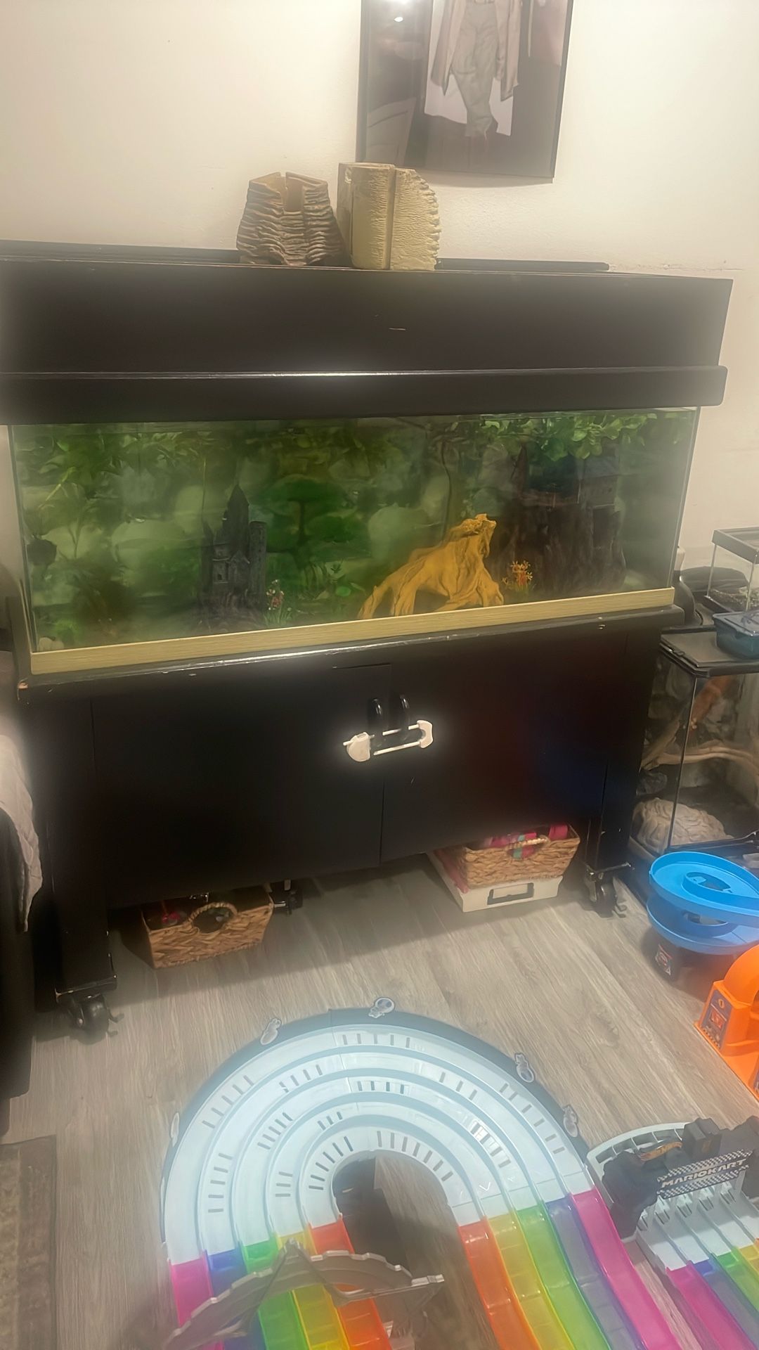 100 Gallon Fish Tank