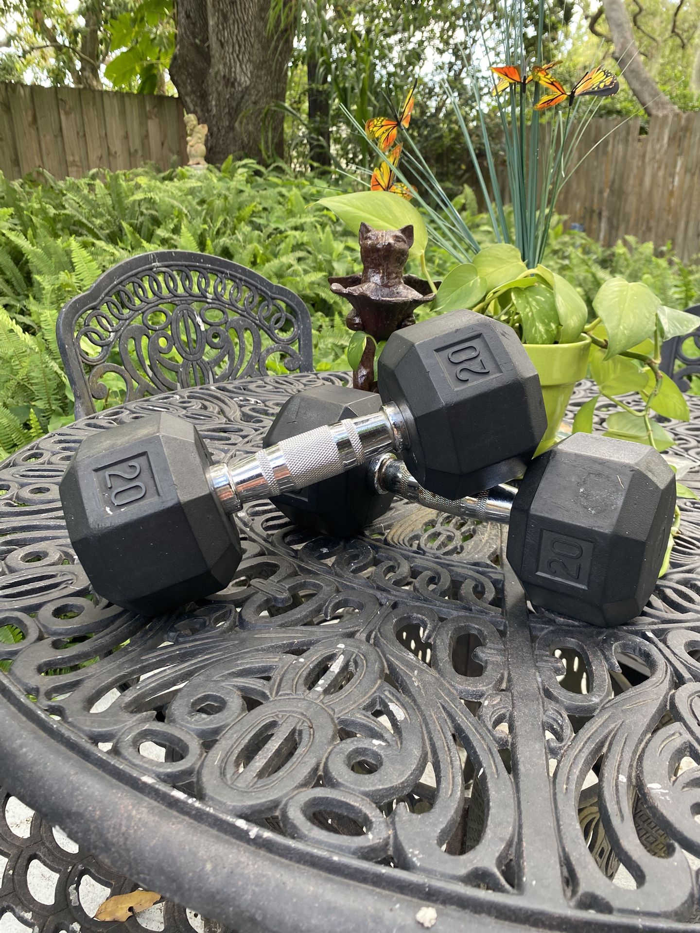 2- 20 lbs. each Weights- Like New!