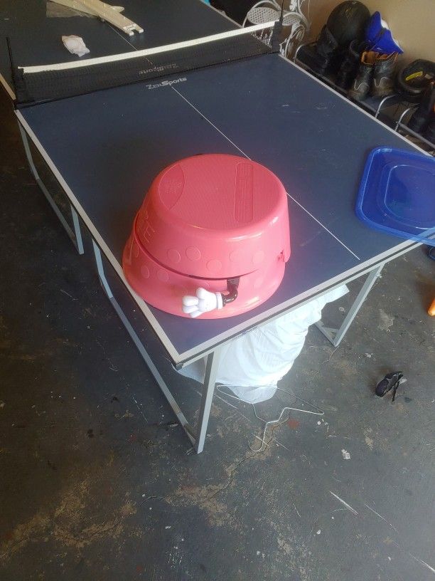 Minnie Mouse Potty Chair