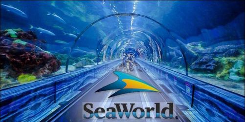 4 seaworld tickets for today Monday 6/15