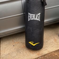 Everlast Punching Bag 