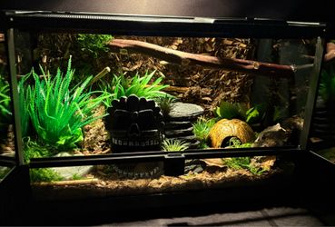 Custom Reptile Enclosure