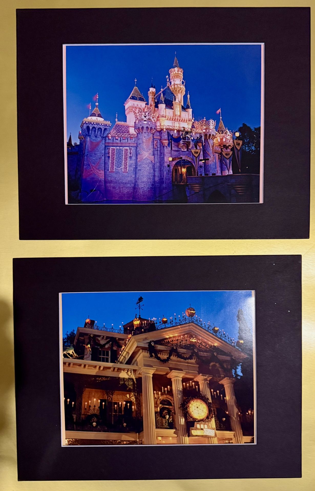 To Disneyland Prince Haunted Mansion And Cinderella‘S Castle