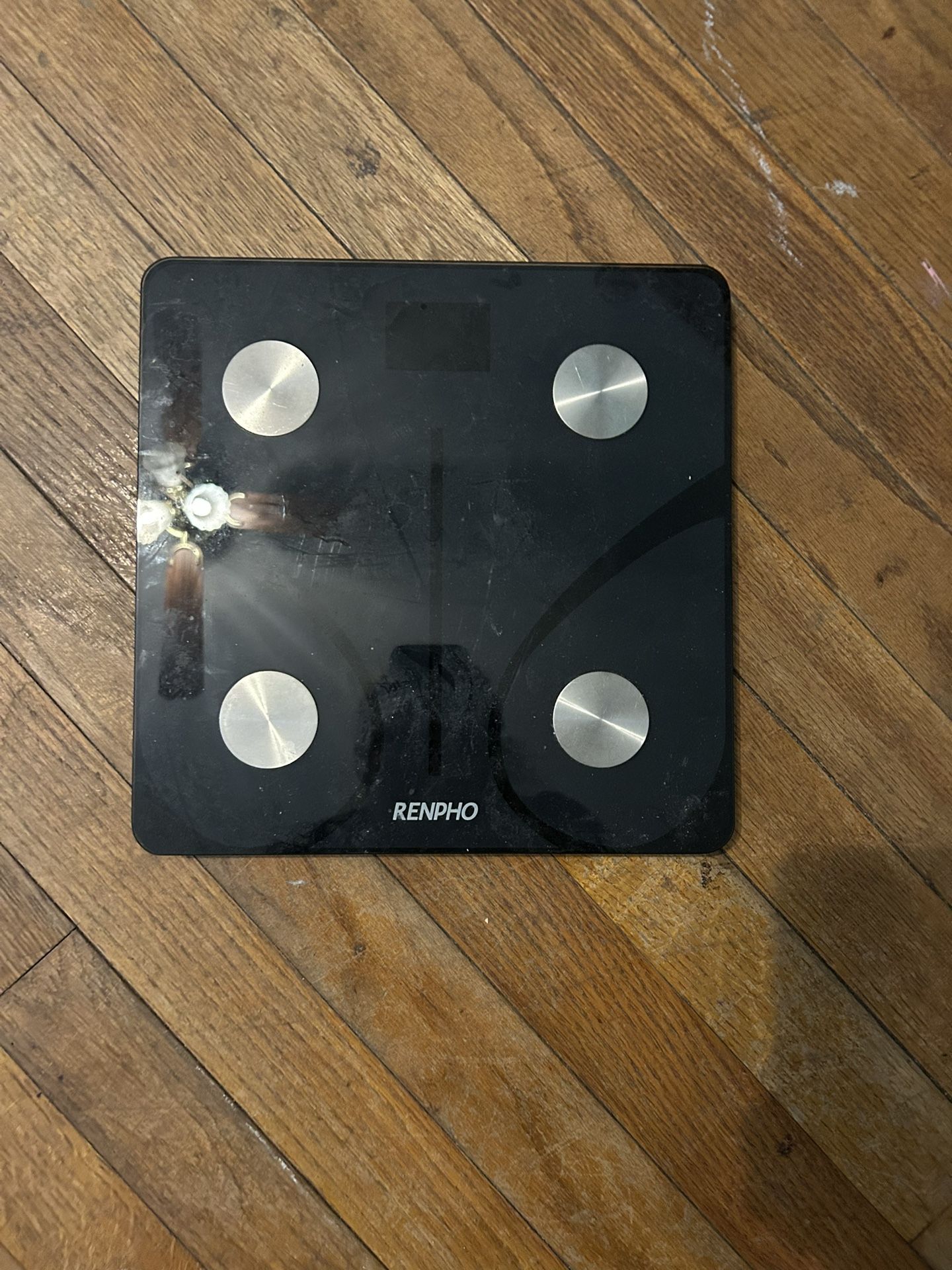 Renpho Digital Scale (Body Weight)
