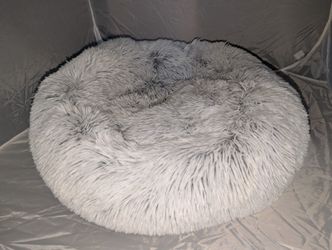 Cat Bed