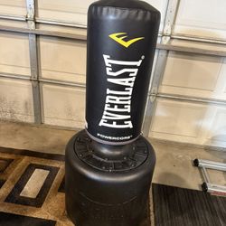 Everlast Powercore Free Standing Indoor Rounded Heavy Duty Fitness Training Bag 