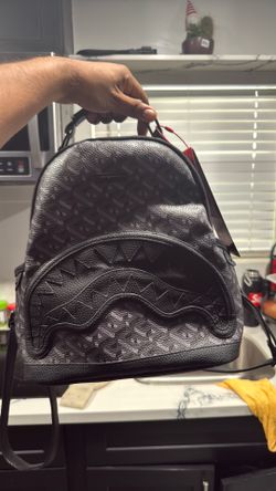 Sprayground mini backpack