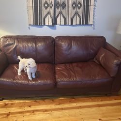 Natuzzi Leather Couch 