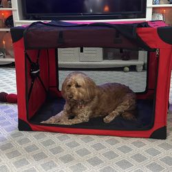 Large Red Travel Crate. 