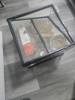 Lizard Enclosure