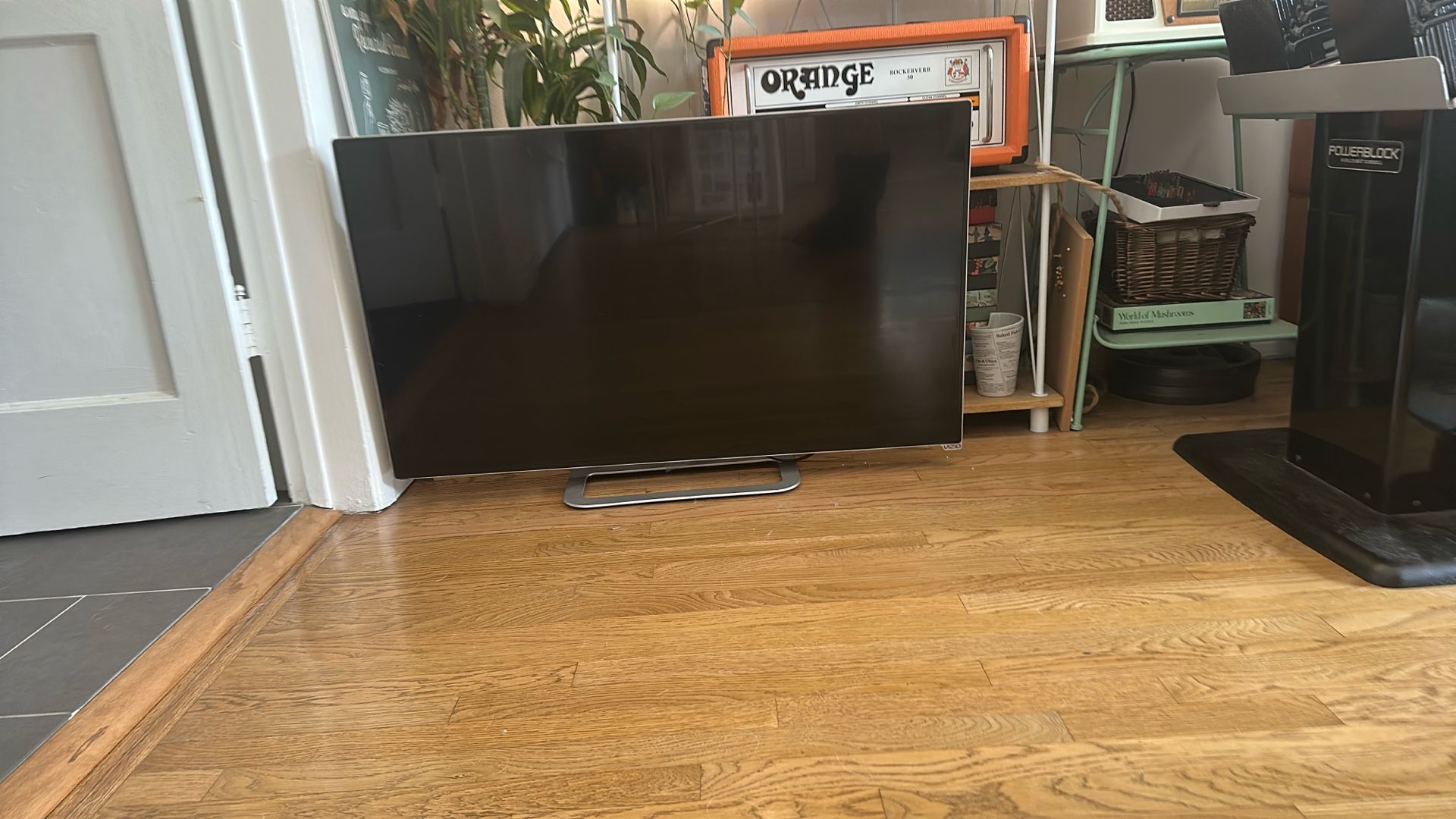 Vizio 42 Inch TV