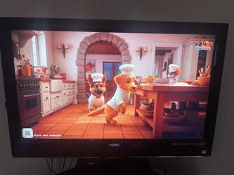 Vizio Flat Screen LCD TV
