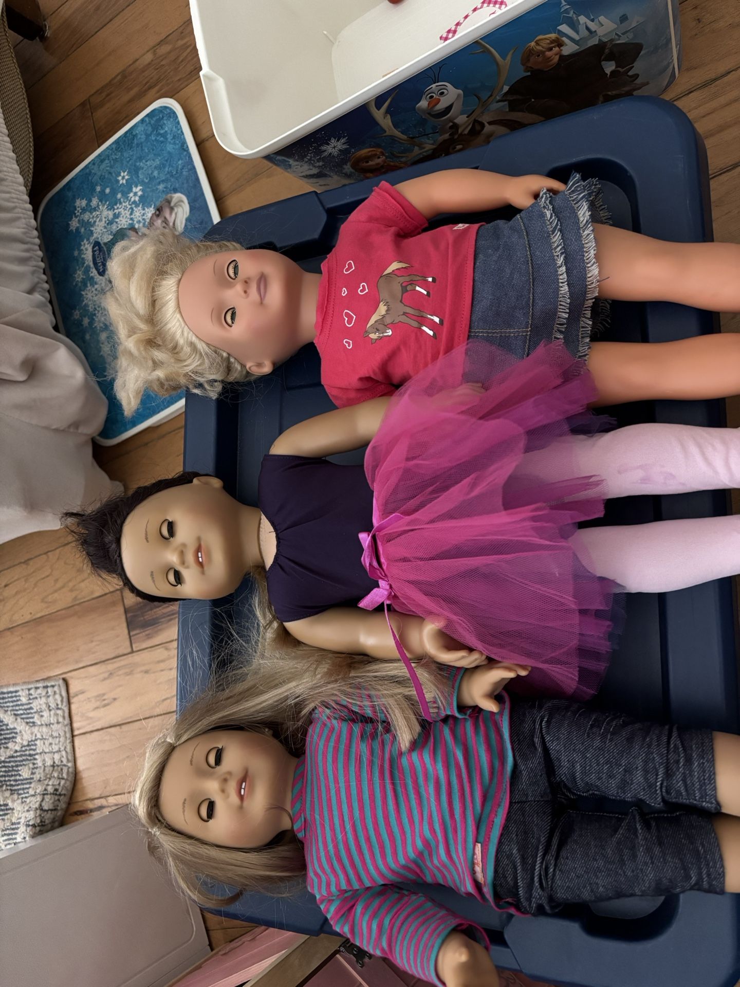 American Girl/Target Dolls and Accessories
