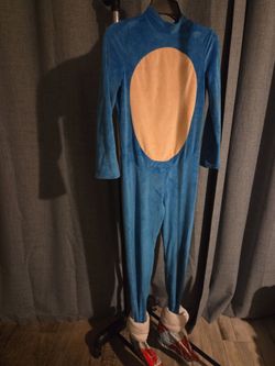 Sonic costume
