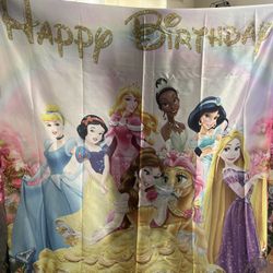 Disney Princess Back Drop 