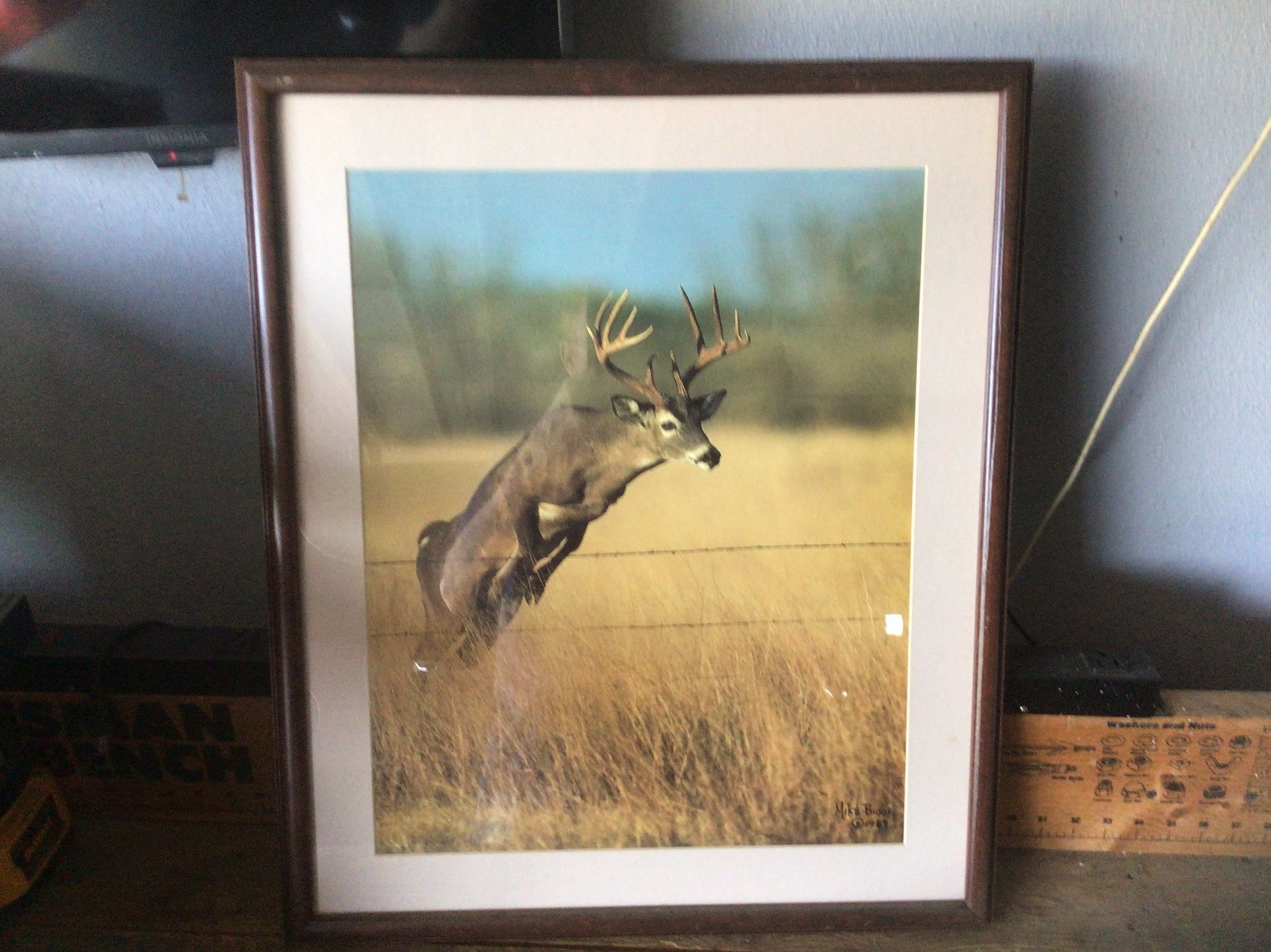 Framed Pictures For Camp Or Man Cave Rare Pictures…