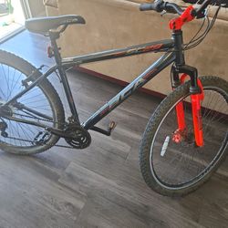 29" BCA SC29 Adult Mountain Bike, Adult, Ages 13+, Gray/Orange