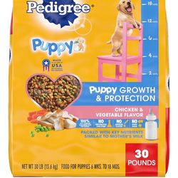 Puppy Food