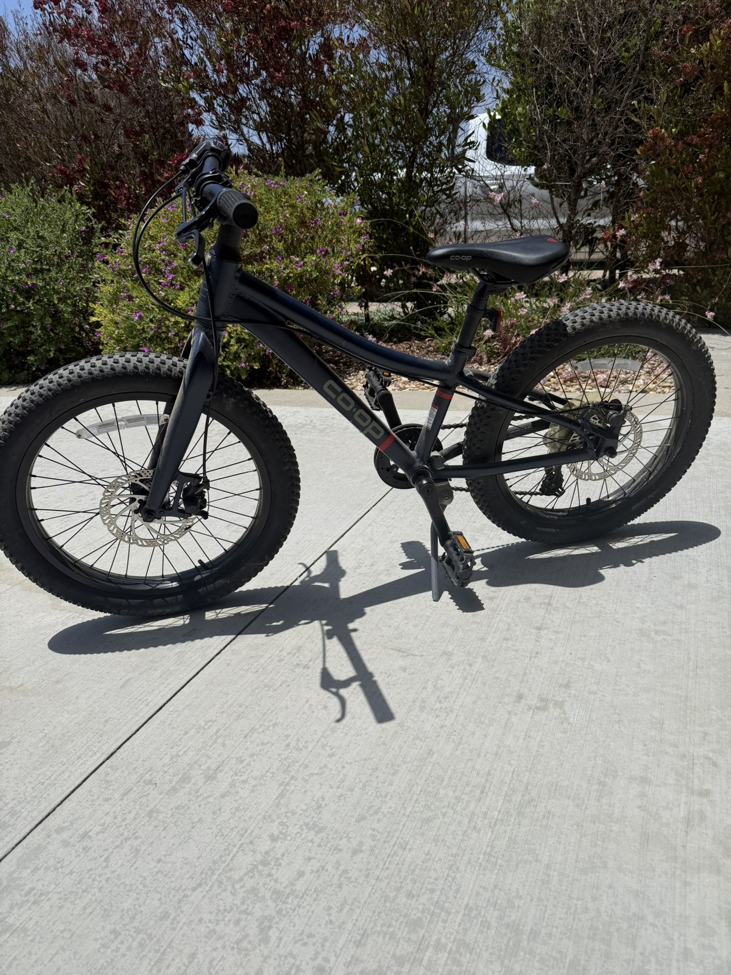 Rei Co op Rev 20, 6 Speed , Youth Bike