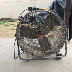 Fan