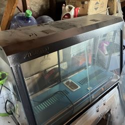Food Warmer