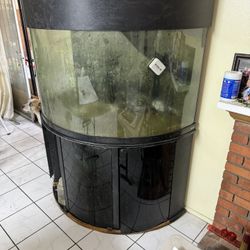 150 Gal Fish tank