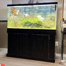 90 Gallon Aquarium Set