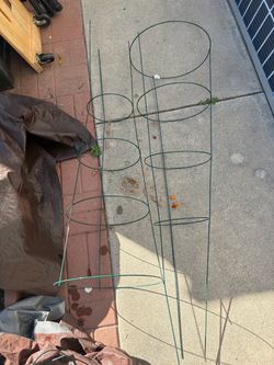 Tomato Cages