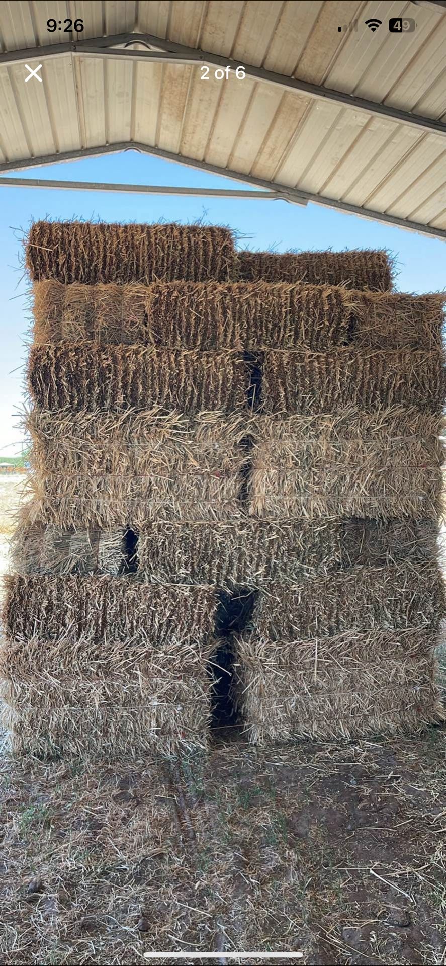 2025 High Quality Forage mix oat hay small bale for sale