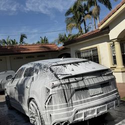 Car Soap